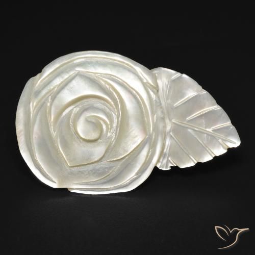 13.65ct Natural Pérola Branca Madrepérola, Flor cortada, Opaco