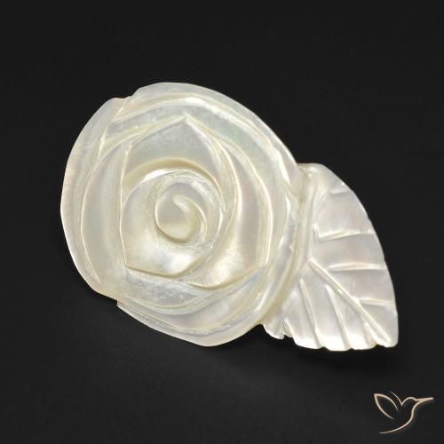 Madrepérola Pérola Branca Natural 13.65ct, Flor cortada, Opaco