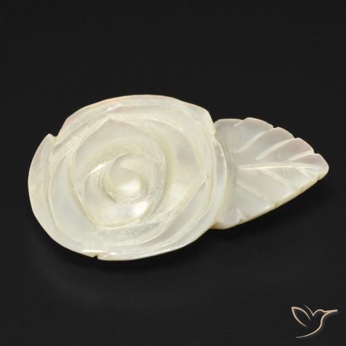 Madrepérola Pérola Branca Natural 13.65ct, Flor cortada, Opaco