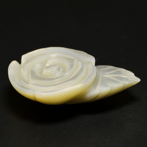 Madrepérola branco natural 16,68ct, corte flor, opaco