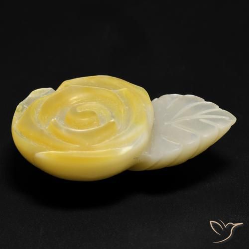 Madrepérola amarelo médio Natural 21.40ct, Flor cortada, Opaco