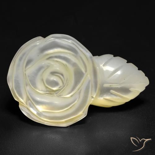 Madrepérola Pérola Branca Natural 19.04ct, Flor cortada, Opaco