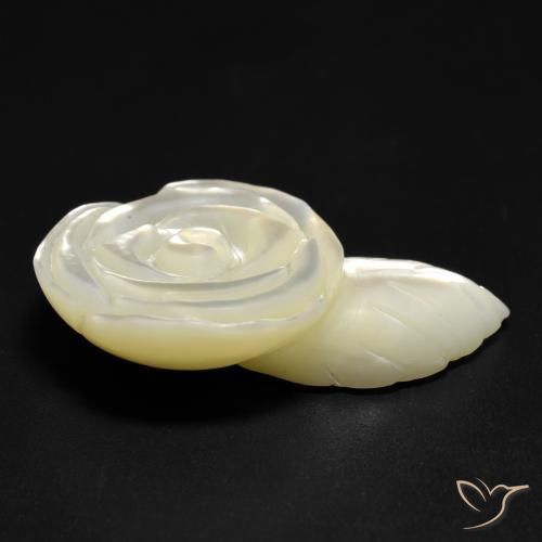 Madrepérola Pérola Branca Natural 19.04ct, Flor cortada, Opaco