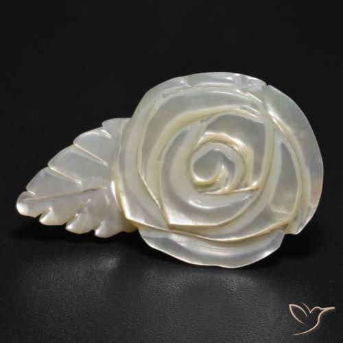 11.41ct Natural Pérola Branca Madrepérola, Flor cortada, Opaco