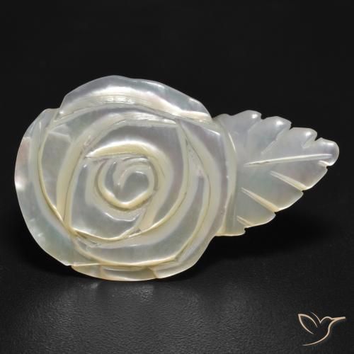 Madrepérola Pérola Branca Natural 11.41ct, Flor cortada, Opaco