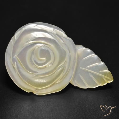 Madrepérola Pérola Branca Natural 17.04ct, Flor cortada, Opaco