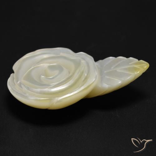 Madrepérola Pérola Branca Natural 17.04ct, Flor cortada, Opaco