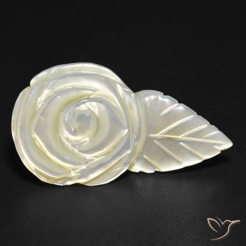 Madrepérola Pérola Branca Natural 14.35ct, Flor cortada, Opaco