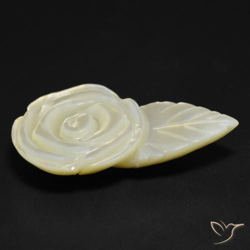 Madrepérola Pérola Branca Natural 14.35ct, Flor cortada, Opaco