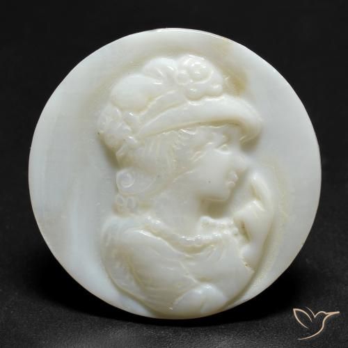 12.47ct Natural Pérola Branca Madrepérola, Redondo, Opaco