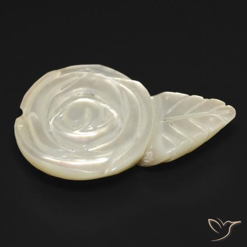 Madrepérola Pérola Branca Natural 11.49ct, Flor cortada, Opaco