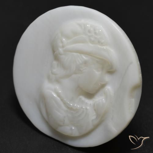 Madrepérola Pérola Branca Natural 13.54ct, Redondo, Opaco