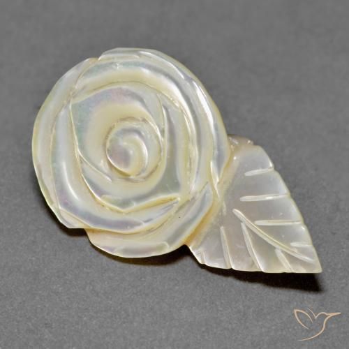 Madrepérola Pérola Branca Natural 18.79ct, Flor cortada, Opaco
