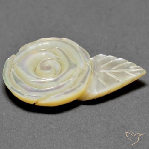 Madrepérola Pérola Branca Natural 18.79ct, Flor cortada, Opaco