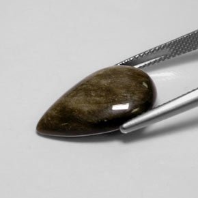 Obsidiana Brilho Dourado Natural 7.12ct, Formato de pêra, Opaco