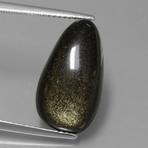 Obsidiana Brilho Dourado Natural 7.78ct, Forma extravagante, Opaco