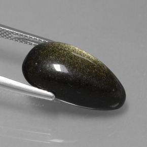 Obsidiana Brilho Dourado Natural 7.78ct, Forma extravagante, Opaco