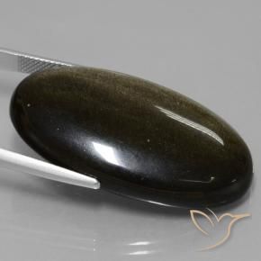 Obsidiana Preto com brilho dourado Natural 51.67ct, oval, Opaco