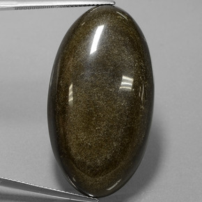 Obsidiana Brilho Dourado Natural 52.66ct, Corte Oval, Opaco