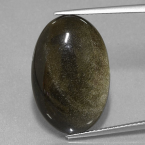 Obsidiana ouro natural 15,30ct, corte oval, opaco