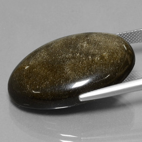 Obsidiana dourado natural 37,84ct, corte oval, opaco