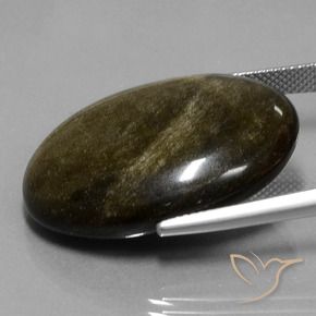 Obsidiana Preto com brilho dourado Natural 32.97ct, oval, Opaco