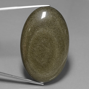 Obsidiana Ouro Preto Brilho Natural 71.91ct, Corte Oval, Opaco