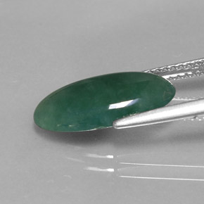 Jade de onfacita verde natural 3,66ct, corte oval, translúcido