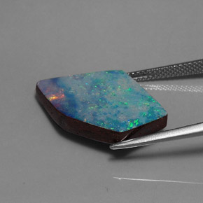 Dupleto de opala multicolorido natural 13,01ct, forma extravagante, opaco