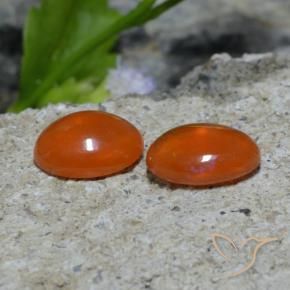 Pedras preciosas de Opala Laranja Avermelhado Profundo natural de 1.37 ct, oval, Transparente