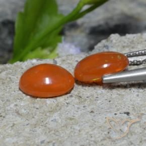 Pedras preciosas de Opala Laranja Avermelhado Profundo natural de 1.37 ct, oval, Transparente