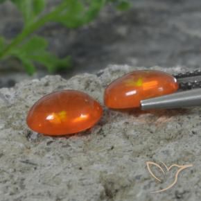 Pedras preciosas de Opala Laranja Avermelhado Profundo natural de 1.41 ct, oval, Transparente