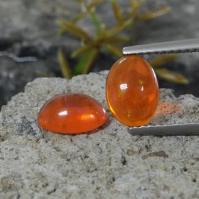 Pedras preciosas de Opala Laranja natural de 1.35 ct, Corte Oval, Transparente