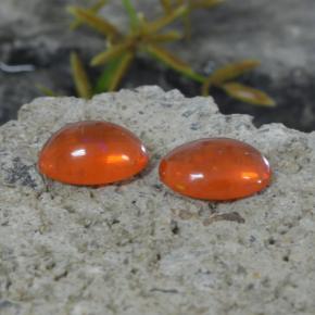 Pedras preciosas de Opala Laranja natural de 1.35 ct, Corte Oval, Transparente