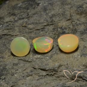 Pedras preciosas de Opala Multicolorido natural de 5.12 ct, Redondo, Translúcido