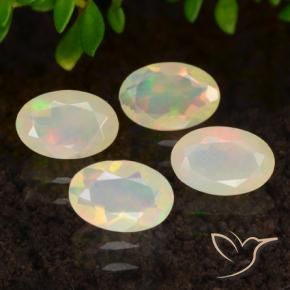 Pedras preciosas de Opala Multicolorido natural de 1.23 ct, oval, Transparente
