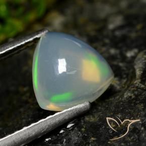 Opala Multicolorido Natural 1.00ct, Trilhão, Transparente