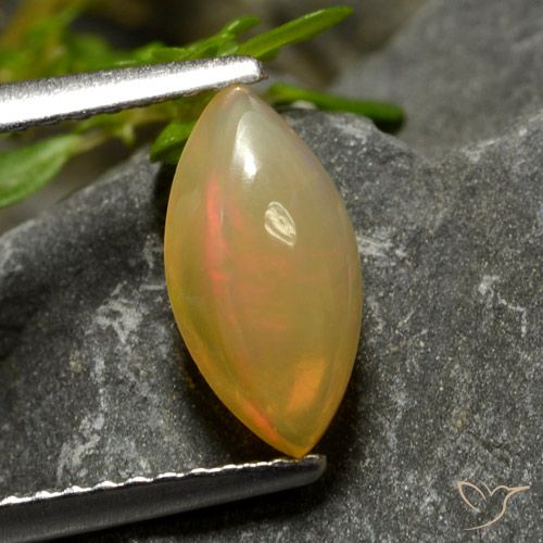 0.95ct Natural Multicolorido Opala, Marquesa, Transparente