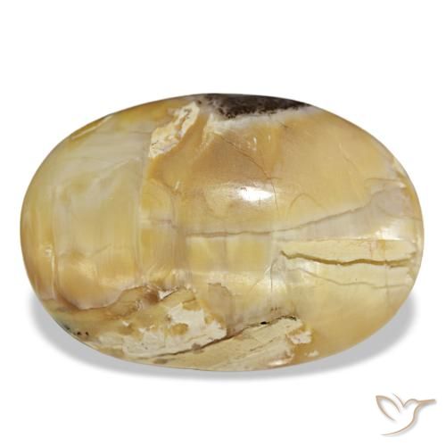 Opala dourado natural 31,48ct, corte oval, opaco