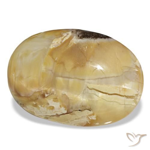 Opala dourado natural 31,48ct, corte oval, opaco