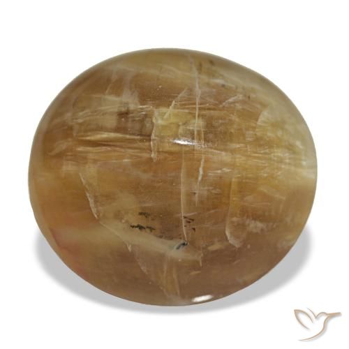 Opala marrom natural 8,17ct, corte oval, opaco