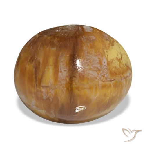 Opala marrom natural 5,76ct, corte oval, opaco