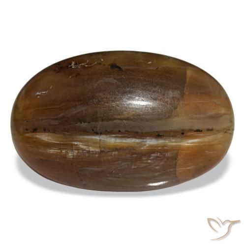 Opala marrom natural 26,12ct, corte oval, opaco