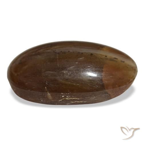 Opala marrom natural 26,12ct, corte oval, opaco