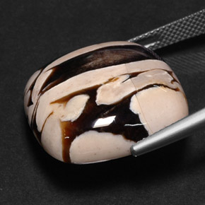 madeira de amendoim Multicolorido Natural 25.88ct, Almofada cortada, Opaco