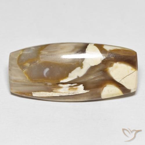 31.21ct Natural Multicolorido Madeira de amendoim, Almofada, Opaco