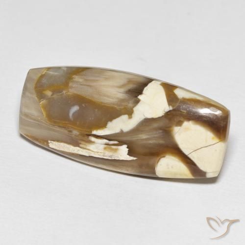 Madeira de amendoim Multicolorido Natural 31.21ct, Almofada, Opaco
