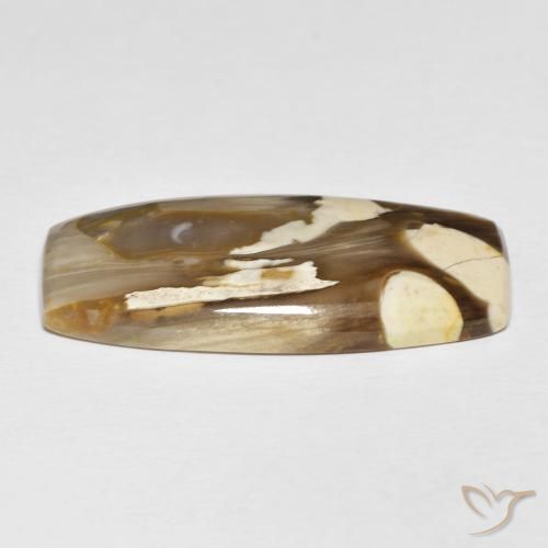 Madeira de amendoim Multicolorido Natural 31.21ct, Almofada, Opaco