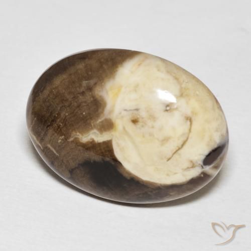 Madeira de amendoim Multicolorido Natural 20.56ct, oval, Opaco