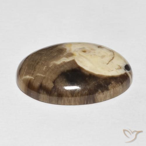 Madeira de amendoim Multicolorido Natural 20.56ct, oval, Opaco